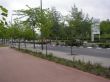 35-CRUCE PARQUE VILLAROSA.jpg