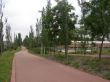 37- BAJADA HACIA CALLE SILVANO.jpg
