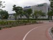 43-CRUCE  CAMPO DE LAS NACIONES.jpg
