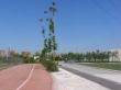 32-ENTRADA PARQUE LINEAL MANZANARES.jpg