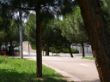 32-CRUCE.jpg