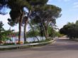 CURVA CURVA EMBARCADERO 4.jpg