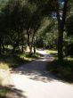 08-BAJADA HACIA CRUCE ARROYO.jpg