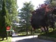 20-GLORIETA ENTRADA A ZOO.jpg