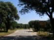 27-GLORIETA ENCINA TRILLO.jpg