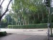 19 CRUCE CRTA CASTILLA.jpg