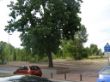 22 CRUCE CALLE GAVILANES.jpg
