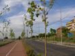 36-HACIA55.000 CRUCE CON SENDA INFANTE.jpg