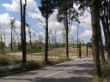 08-PASARELA A-2-2.jpg