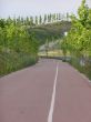 45-BAJADA HACIA CRUCE TUNEL CARRETERA PARDO.jpg