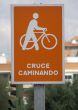 5-CRUCE CAMINANDO PLACA.jpg