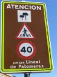 10-PARQUE LINEAL PALOMERAS.jpg